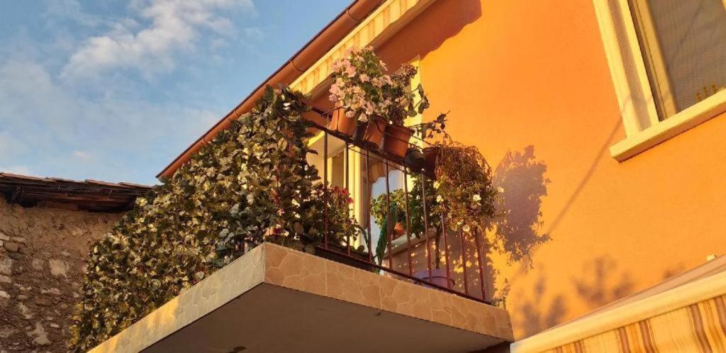 Grand Park Rooms Podgorica Exterior foto